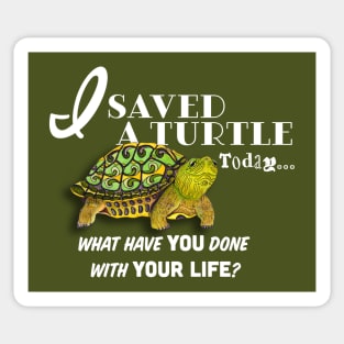 I Saved A Turtle Today... Sticker